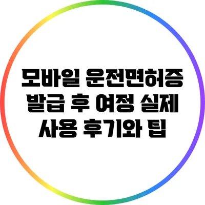 모바일 운전면허증 발급 후 여정: 실제 사용 후기와 팁