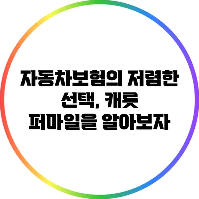 자동차보험의 저렴한 선택, 캐롯 퍼마일을 알아보자
