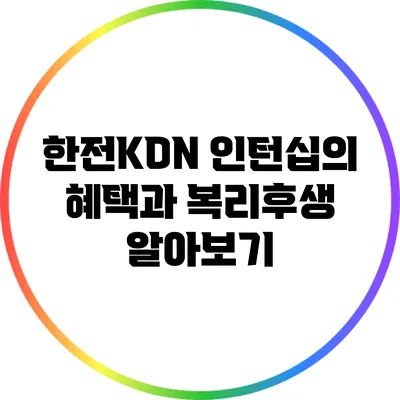한전KDN 인턴십의 혜택과 복리후생 알아보기