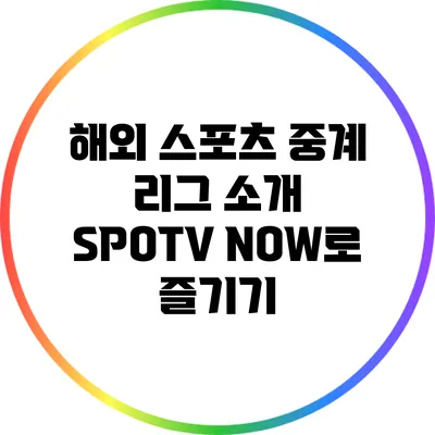 해외 스포츠 중계 리그 소개: SPOTV NOW로 즐기기