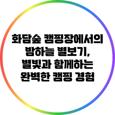화담숲 캠핑장에서의 밤하늘 별보기, 별빛과 함께하는 완벽한 캠핑 경험