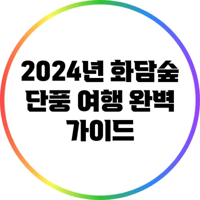 2024년 화담숲 단풍 여행 완벽 가이드