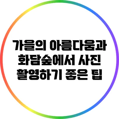 가을의 아름다움과 화담숲에서 사진 촬영하기 좋은 팁