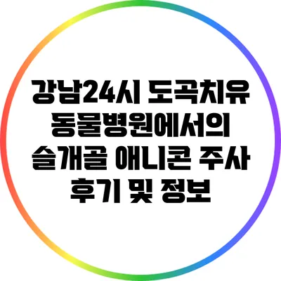 강남24시 도곡치유 동물병원에서의 슬개골 애니콘 주사 후기 및 정보