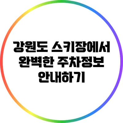 강원도 스키장에서 완벽한 주차정보 안내하기