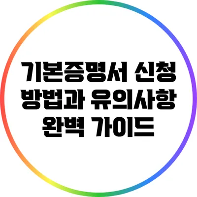 기본증명서 신청 방법과 유의사항 완벽 가이드