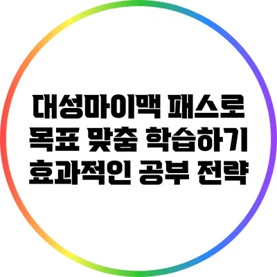 대성마이맥 패스로 목표 맞춤 학습하기: 효과적인 공부 전략