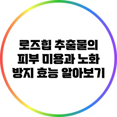 로즈힙 추출물의 피부 미용과 노화 방지 효능 알아보기