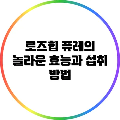 로즈힙 퓨레의 놀라운 효능과 섭취 방법