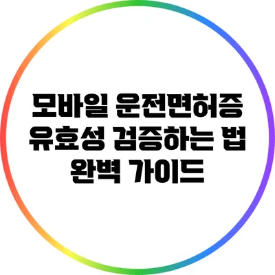 모바일 운전면허증 유효성 검증하는 법: 완벽 가이드