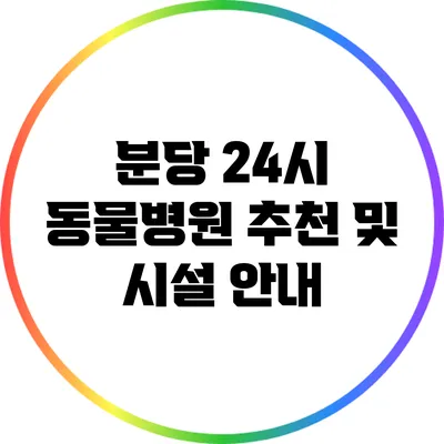 분당 24시 동물병원 추천 및 시설 안내