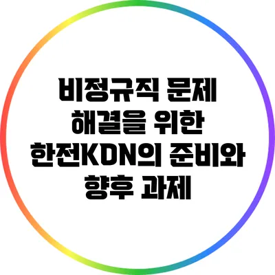 비정규직 문제 해결을 위한 한전KDN의 준비와 향후 과제