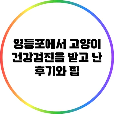 영등포에서 고양이 건강검진을 받고 난 후기와 팁