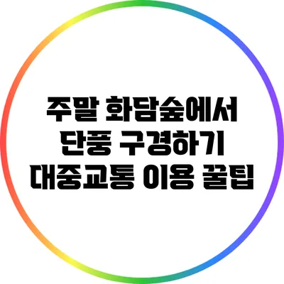 주말 화담숲에서 단풍 구경하기: 대중교통 이용 꿀팁