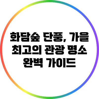 화담숲 단풍, 가을 최고의 관광 명소 완벽 가이드