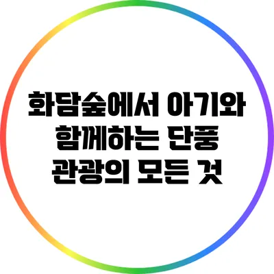 화담숲에서 아기와 함께하는 단풍 관광의 모든 것