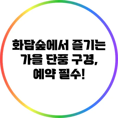 화담숲에서 즐기는 가을 단풍 구경, 예약 필수!