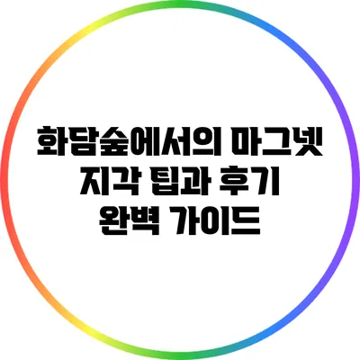 화담숲에서의 마그넷 지각 팁과 후기: 완벽 가이드