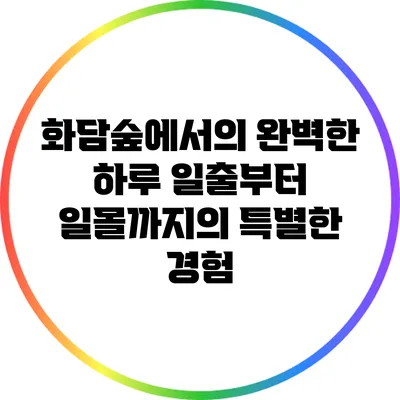 화담숲에서의 완벽한 하루: 일출부터 일몰까지의 특별한 경험