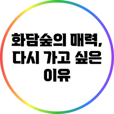 화담숲의 매력, 다시 가고 싶은 이유