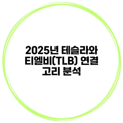 2025년 테슬라와 티엘비(TLB) 연결 고리 분석
