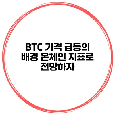 BTC 가격 급등의 배경 온체인 지표로 전망하자