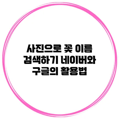 사진으로 꽃 이름 검색하기: 네이버와 구글의 활용법