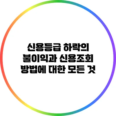 신용등급 하락의 불이익과 신용조회 방법에 대한 모든 것