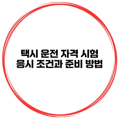 택시 운전 자격 시험 응시 조건과 준비 방법