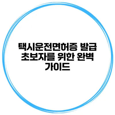 택시운전면허증 발급 초보자를 위한 완벽 가이드