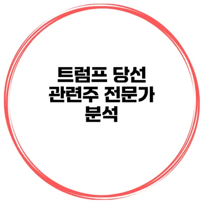 트럼프 당선 관련주 전문가 분석