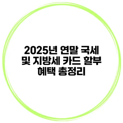 2025년 연말 국세 및 지방세 카드 할부 혜택 총정리