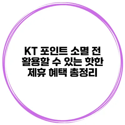 KT 포인트 소멸 전 활용할 수 있는 핫한 제휴 혜택 총정리