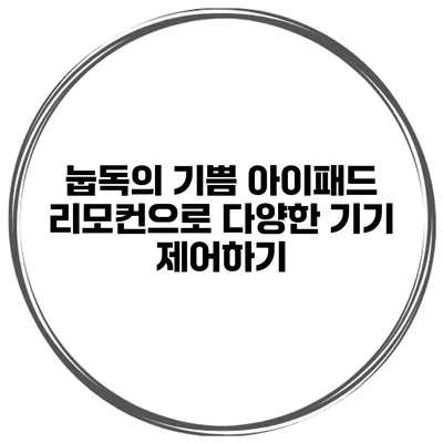 눕독의 기쁨 아이패드 리모컨으로 다양한 기기 제어하기