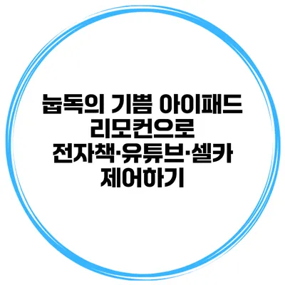 눕독의 기쁨 아이패드 리모컨으로 전자책·유튜브·셀카 제어하기