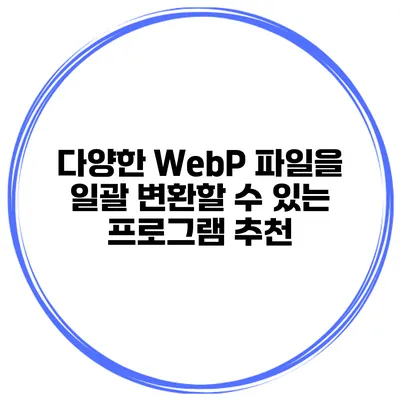 다양한 WebP 파일을 일괄 변환할 수 있는 프로그램 추천