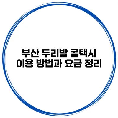 부산 두리발 콜택시 이용 방법과 요금 정리