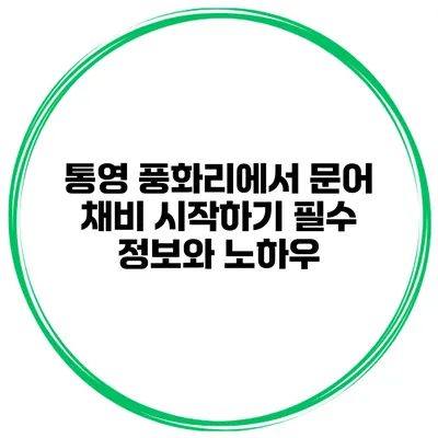 통영 풍화리에서 문어 채비 시작하기: 필수 정보와 노하우
